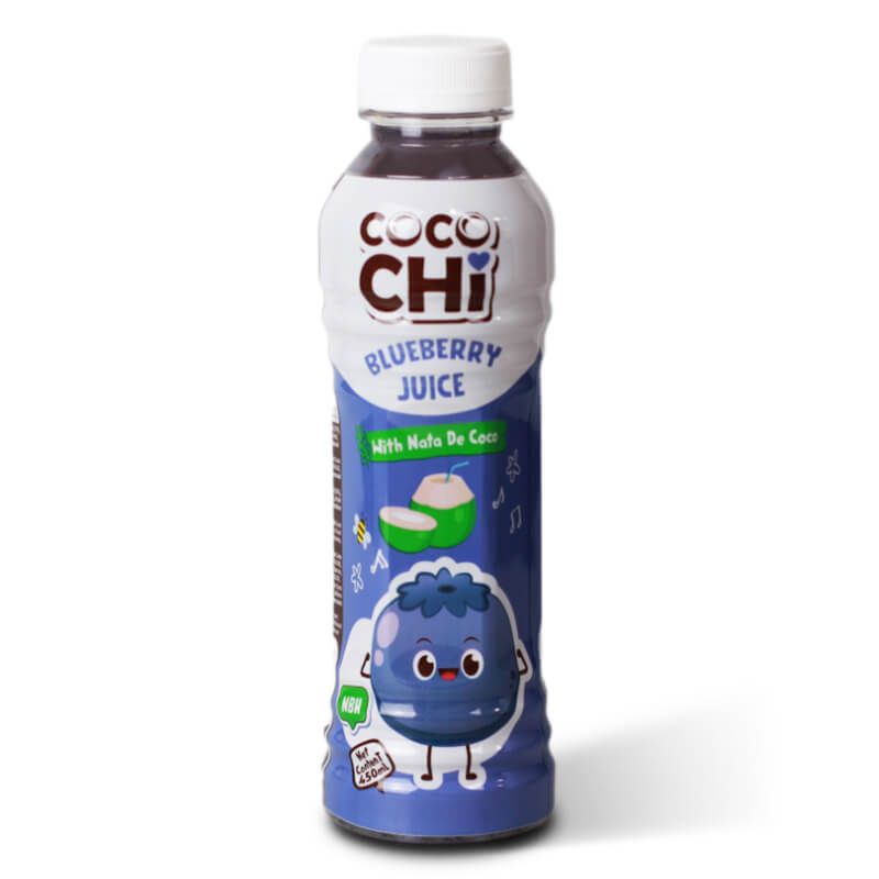 Coconut drink with blueberry flavor COCOCHI 450ml