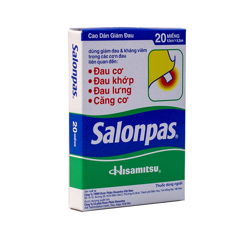 HISAMITSU Salonpas medicated patches